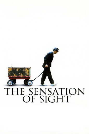 Póster de The Sensation of Sight