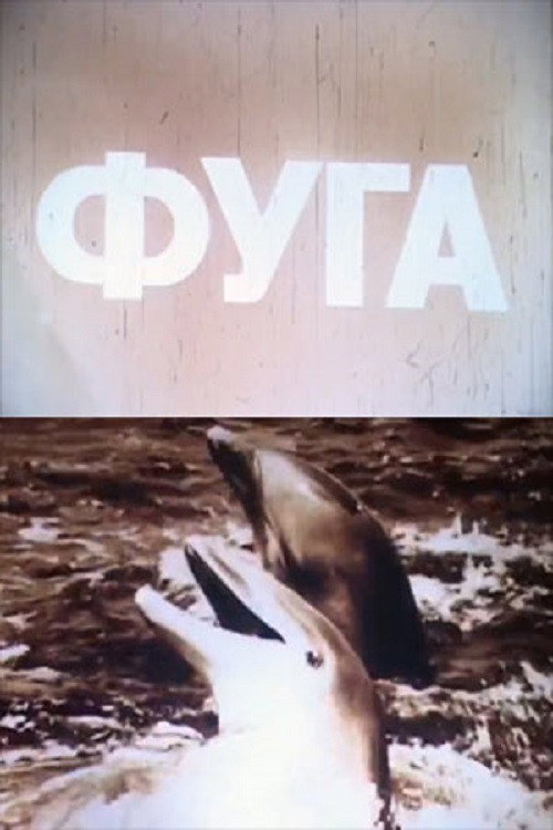 Póster de Фуга