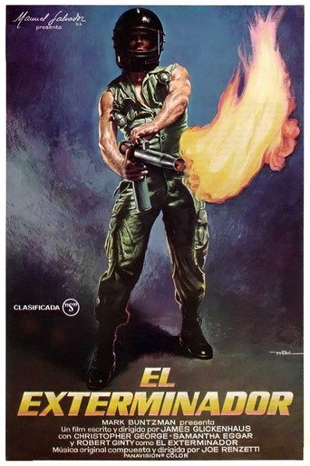 Póster de The Exterminator
