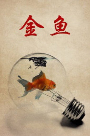 Póster de 金鱼
