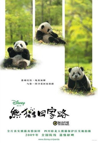 Póster de El Camino del Panda