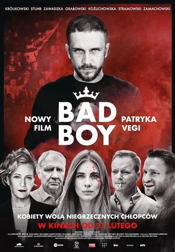 Póster de Bad Boy