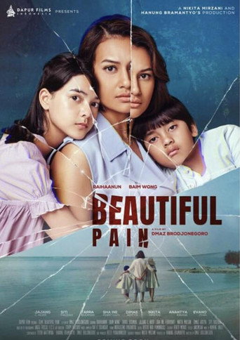 Póster de Beautiful Pain