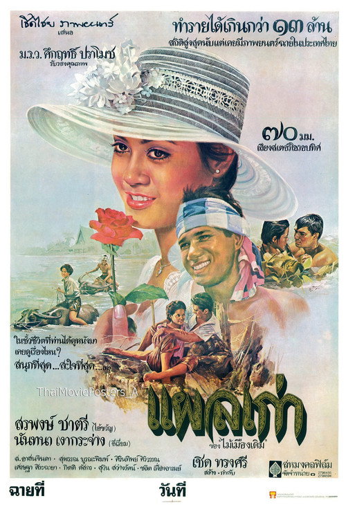Póster de แผลเก่า