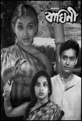 Póster de বাঘিনী
