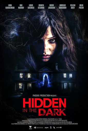 Póster de Hidden in the Dark