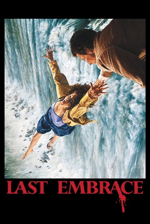 Póster de Last Embrace