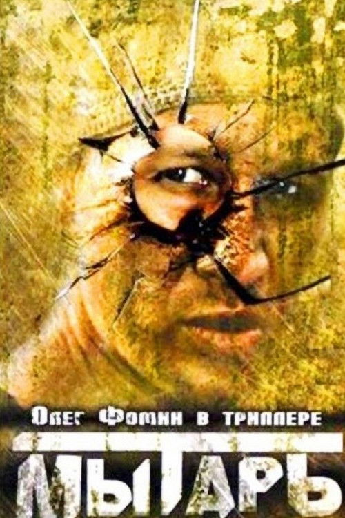 Póster de Мытарь