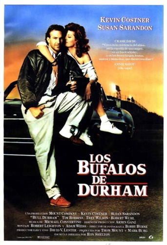 Póster de La Bella y el Campeón