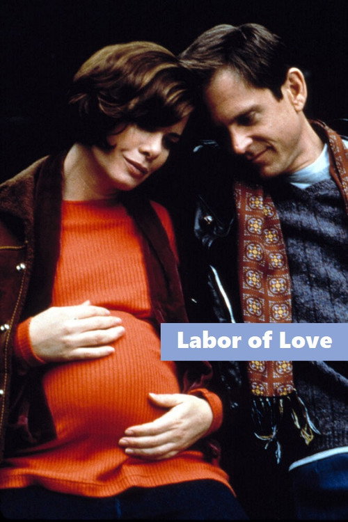 Póster de Labor of Love