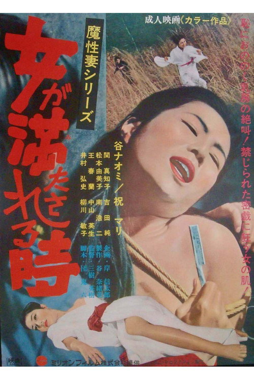 Póster de 女が満たされる時 魔性妻