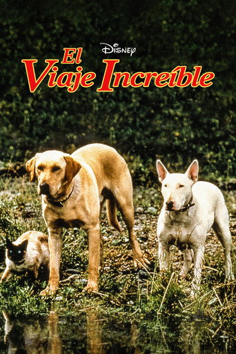 Póster de Un viaje increíble