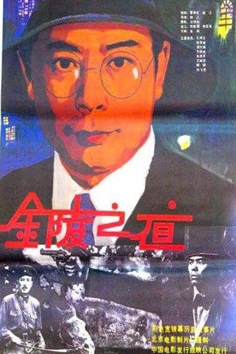Póster de 金陵之夜