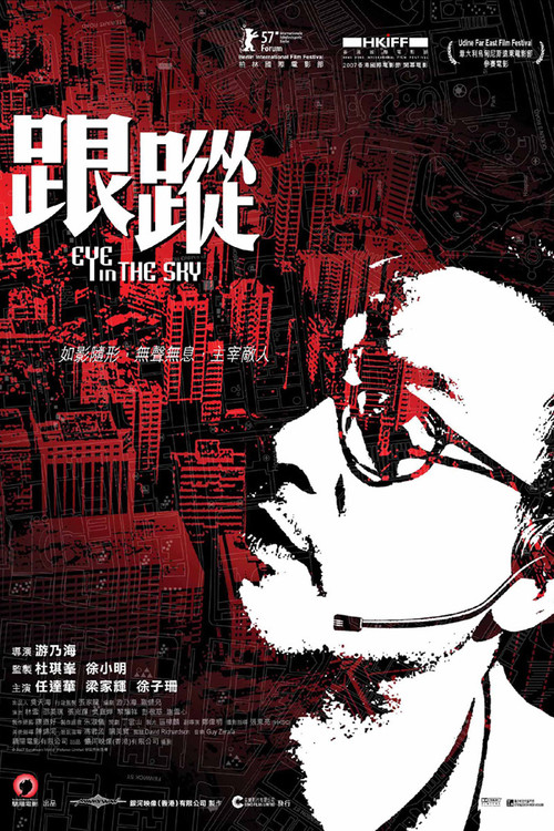 Póster de 跟蹤