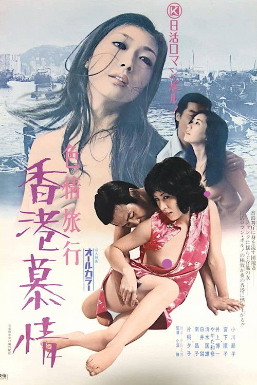 Póster de 色情旅行　香港慕情