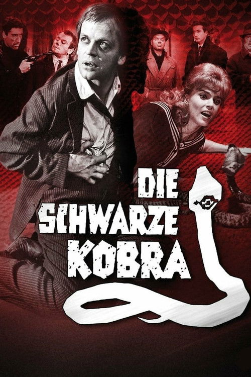 Póster de Die schwarze Kobra