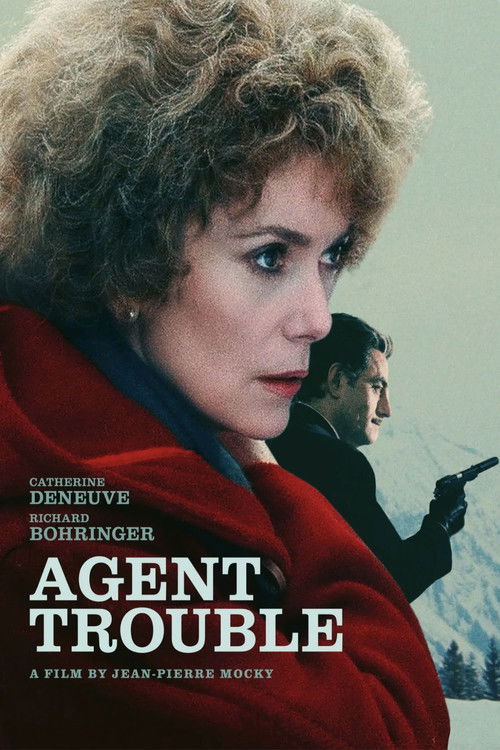 Póster de Agent trouble
