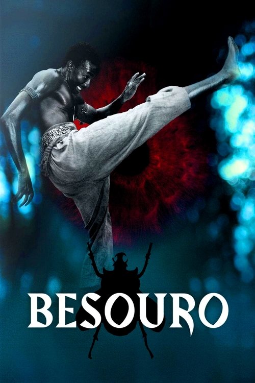Póster de Besouro