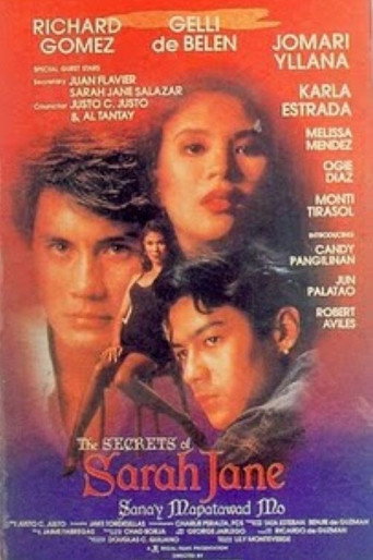Póster de The Secrets of Sarah Jane