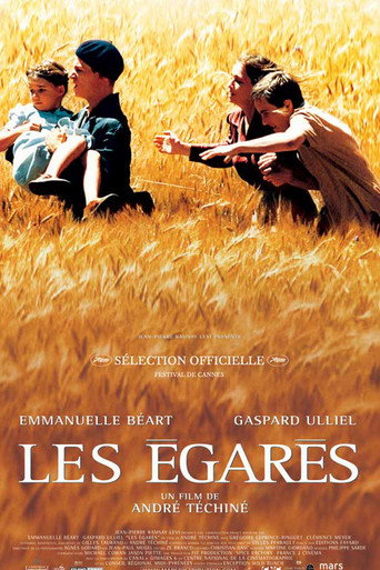 Póster de Les égarés