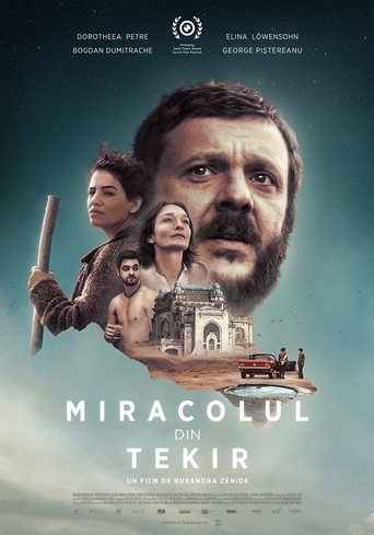Póster de Miracolul din Tekir
