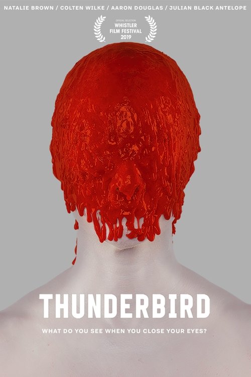 Póster de Thunderbird