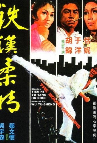 Póster de 鐵漢柔情