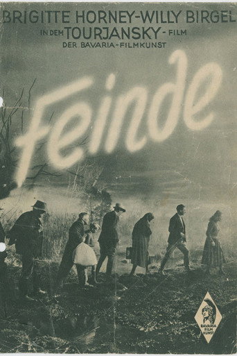 Póster de Feinde