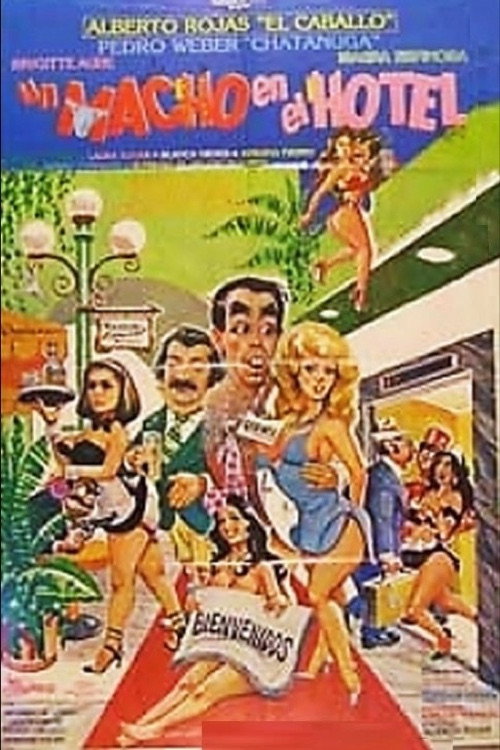 Póster de Un Macho en el Hotel