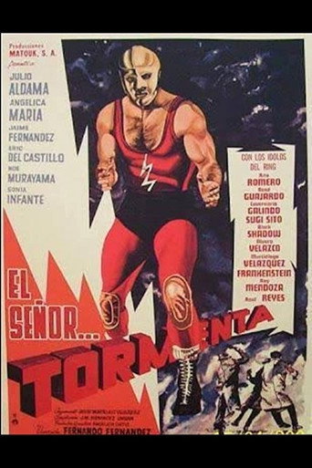 Póster de El señor Tormenta
