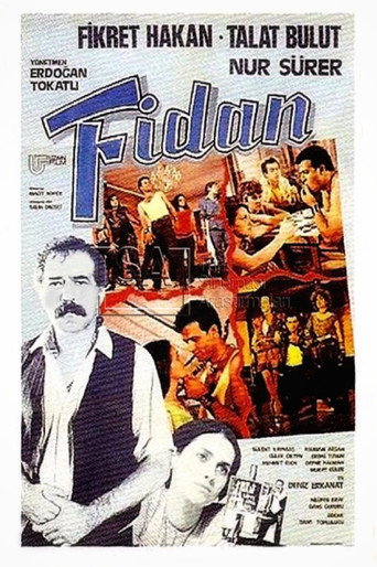 Póster de Fidan