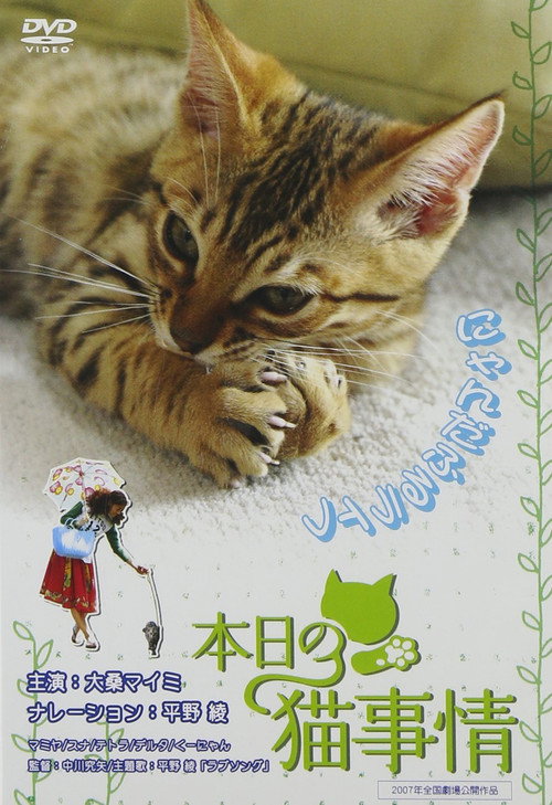 Póster de 本日の猫事情