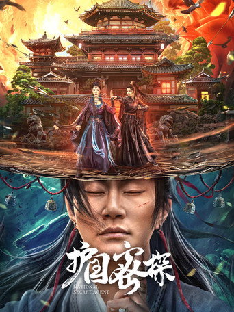 Póster de 护国密探