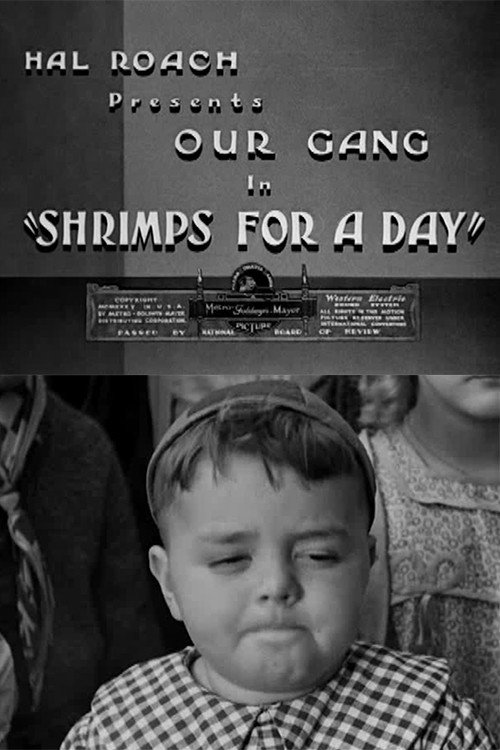 Póster de Shrimps for a Day