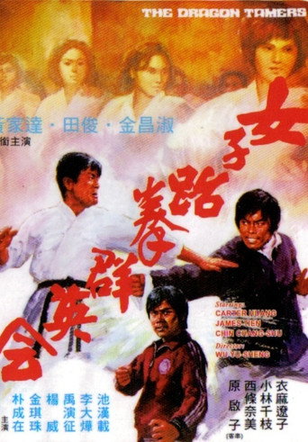 Póster de 女子跆拳群英會