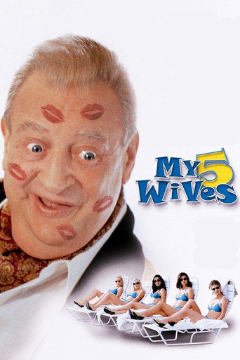 Póster de My 5 Wives