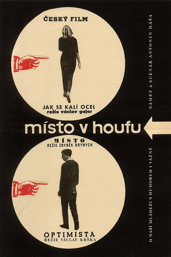 Póster de Místo v houfu