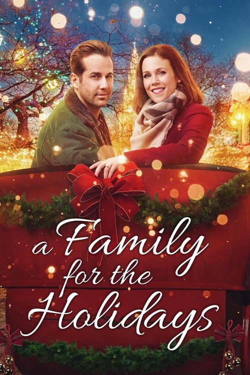 Póster de A Family for the Holidays