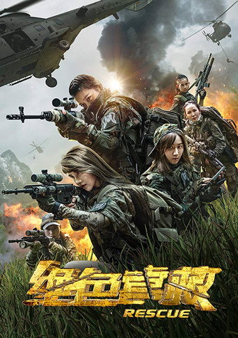 Póster de 绝色营救