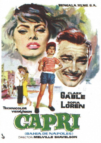 Póster de La bahía de los ensueños