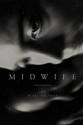 Póster de Midwife