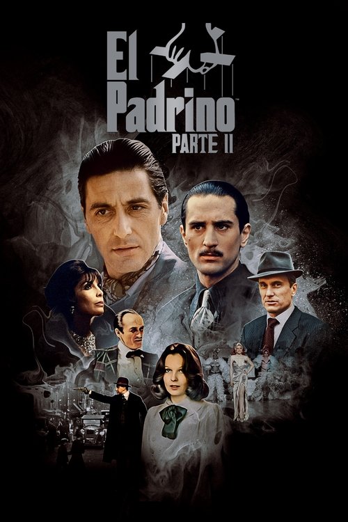 Póster de El Padrino II