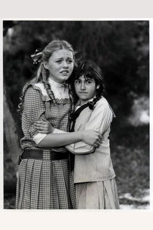 Póster de The Adventures of Pollyanna