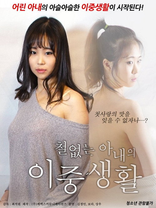 Póster de 철없는 아내의 이중생활