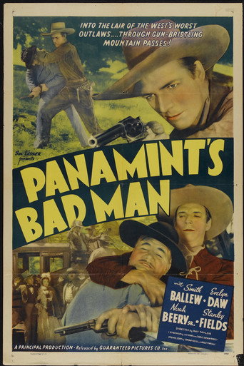 Póster de Panamint's Bad Man