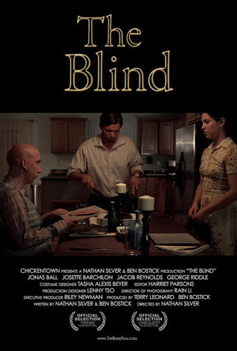 Póster de The Blind