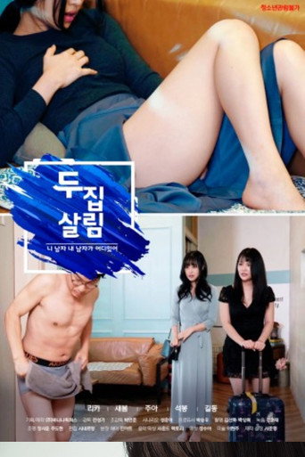 Póster de 두 집 살림