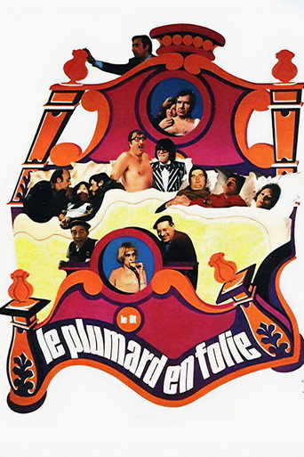Póster de Le Plumard en folie