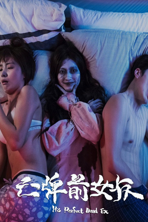 Póster de 亡牌前女友