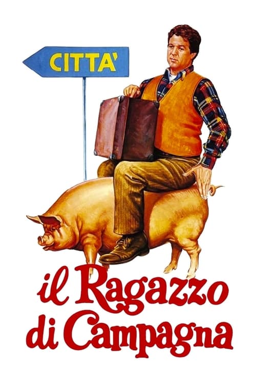 Póster de Il ragazzo di campagna